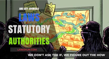 Are City Council Laws Statutory Authorities? Understanding Municipal Legal Powers