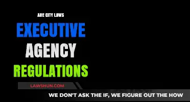 City Laws vs. Executive Agency Regulations: Understanding the Legal Divide