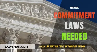 Are Civil Commitment Laws Necessary for Public Safety and Justice?