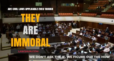 Immoral Yet Legal: The Complex Intersection of Civil Laws and Ethics