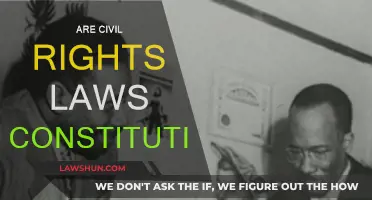 Civil Rights Laws: Constitutional or Unconstitutional?