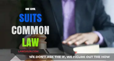Civil Suits: Common Law's Cornerstone