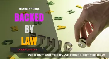 Are Codes of Ethics Legally Binding? Exploring the Law's Role