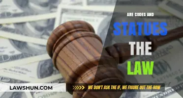 Are Codes and Statutes Truly the Law? Unraveling Legal Foundations