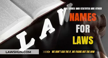 Codes, Statutes, and Laws: Understanding Legal Terminology and Their Meanings