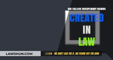 College Disciplinary Boards: Legally Created?