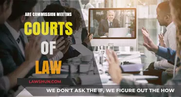 Are Commission Meetings Courts of Law? Understanding Legal Boundaries