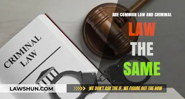 Criminal Law vs Common Law: What's the Difference?