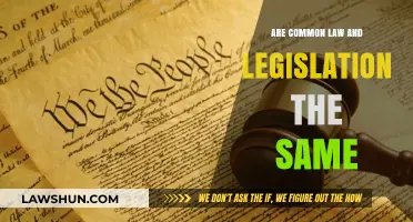 What's the Difference Between Common Law and Legislation?