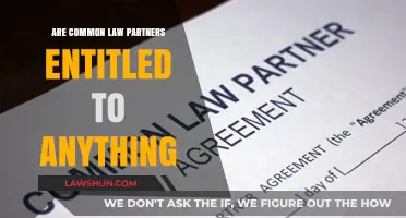 Understanding Common-Law Partner Entitlements