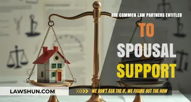 Common-Law Partners: Entitled to Spousal Support?