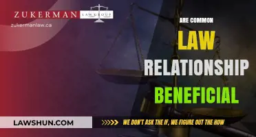 Common-Law Relationships: Pros and Cons