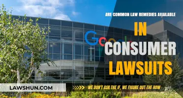 Common Law Remedies: Consumer Lawsuits Explained