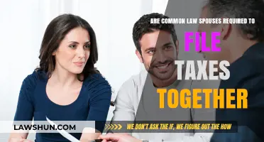 Understanding Tax Filing Requirements for Common-Law Spouses