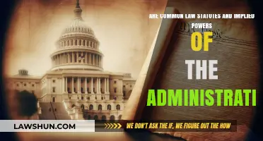 The Evolution of Common Law: Statutes and Implied Powers