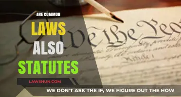 Common Law and Statutes: What's the Difference?