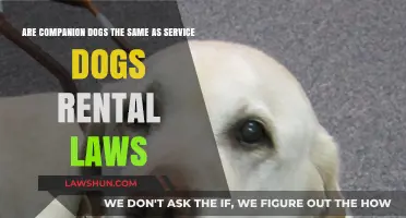 Companion vs. Service Dogs: Understanding Rental Laws and Differences