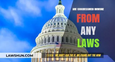 Congressional Immunity: Are Lawmakers Above the Law in America?