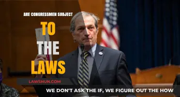 Are Congressmen Bound by the Same Laws as Citizens?