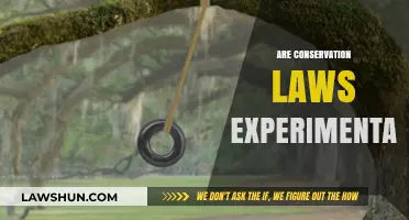 Are Conservation Laws Experimental? Exploring Science's Foundational Principles