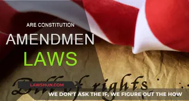 Amendments: Constitutional Changes or Legal Challenges?