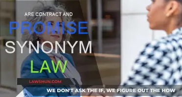 Promises and Contracts: Synonymous in Law?