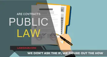 The Public Nature of Contracts in Law