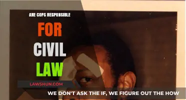 Are Cops Accountable for Civil Law Enforcement and Justice?
