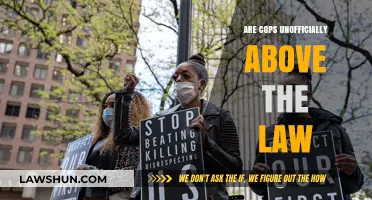 Are Cops Unofficially Above the Law? Examining Police Accountability
