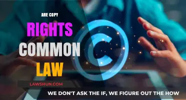 Understanding Copyrights: Common Law or Not?