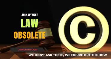 Are Copyright Laws Obsolete in the Digital Age?