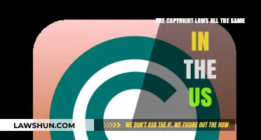 Are U.S. Copyright Laws Uniform Across States and Industries?