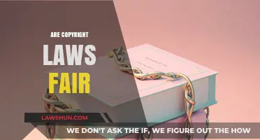 Are Copyright Laws Fair? Balancing Creators' Rights and Public Access