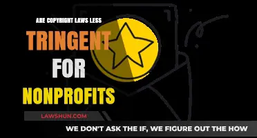 Do Nonprofits Enjoy More Lenient Copyright Laws? Exploring Legal Flexibility
