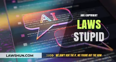 Are Copyright Laws Stupid? Debunking Myths and Exploring Realities