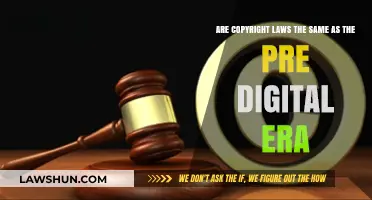 Copyright Laws: Adapting to the Digital Age or Stuck in the Past?