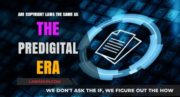 Copyright Laws in the Digital Age: Evolution or Revolution?