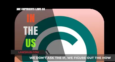 Are US Copyright Laws Fair and Effective in the Digital Age?