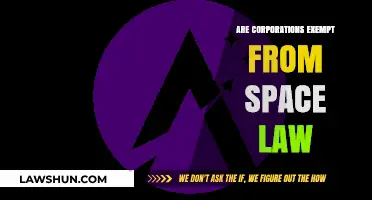 Are Corporations Exempt from Space Law? Exploring Legal Boundaries