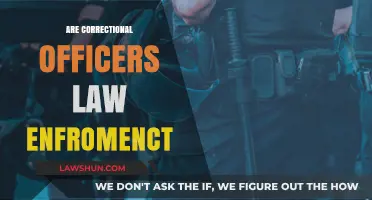 Are Correctional Officers Law Enforcement? Exploring Their Role and Authority
