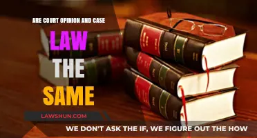 Case Law vs Court Opinion: What's the Difference?
