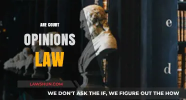 Are Court Opinions Law? Understanding Judicial Precedent and Legal Authority