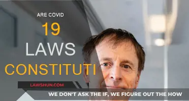 Covid-19 Laws: Constitutional or Unconstitutional?