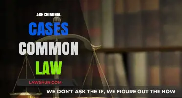 Criminal Cases: Common Law or Not?