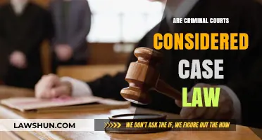 Criminal Courts and Case Law: What's the Verdict?
