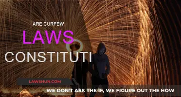 Curfew Laws: Constitutional or Unjust?