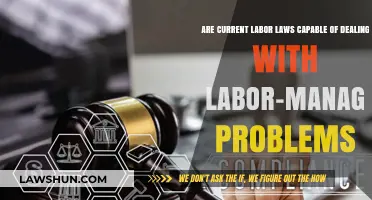 Labor Laws vs. Management Disputes: Are Current Policies Enough?