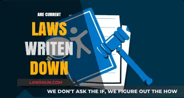 Are Current Laws Written Down? Exploring Legal Documentation and Accessibility
