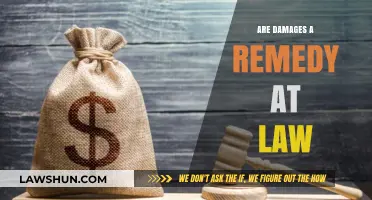 Are Damages a Remedy at Law? Exploring Legal Compensation Options