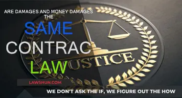 Damages vs Money Damages: What's the Difference?